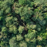 An aerial view of a dense forest, an environment ideal for land management where C-Block skid steer tracks offer superior grip for forestry and land clearing.