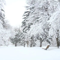 A snow-covered landscape, demonstrating the all-season grip and excellent traction of zig-zag tracks on snow and ice.